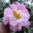 Sally B. Hatcher